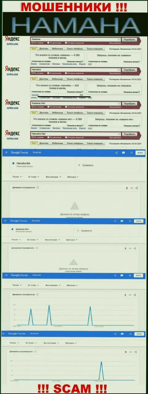 Онлайн запросы по бренду шулеров Хамана в поисковиках глобальной интернет сети