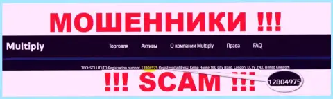 Рег. номер компании Multiply, который они предоставили на своем сайте: 12804975