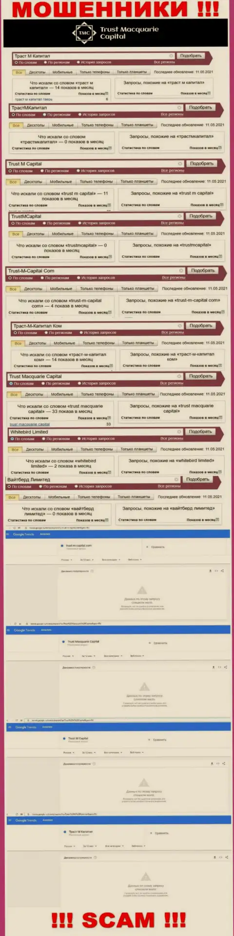Статистические показатели поисков информации об internet шулерах Trust Macquarie Capital