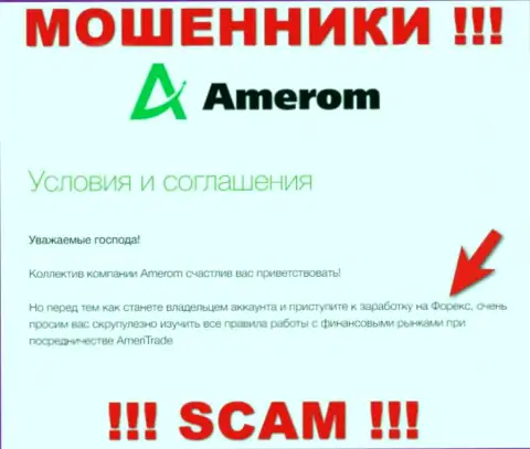 Не доверяйте вклады Амером, потому что их сфера работы, FOREX, капкан