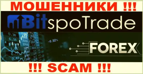 Forex - это именно то, чем промышляют internet мошенники BitSpoTrade