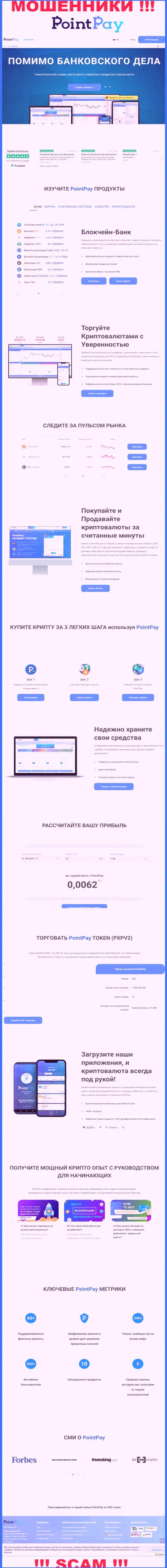 PointPay Io это официальная web-страница шулеров Поинт Пэй