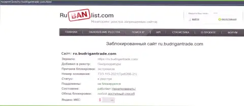 Информационный сервис Budrigan Ltd в РФ был заблокирован Генпрокуратурой