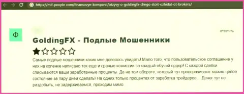 Очередной негативный коммент в сторону компании Голдинг ФХ - это ЛОХОТРОН !