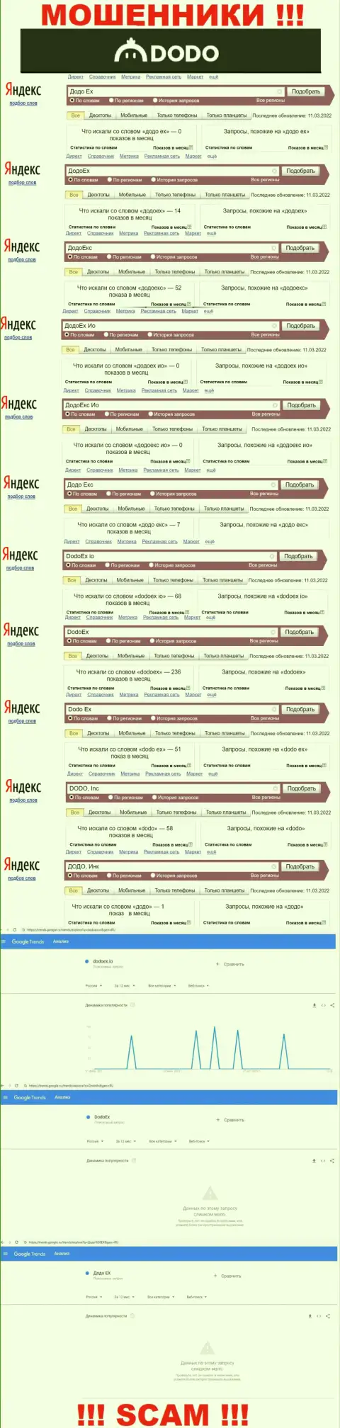 Статистика online запросов по ворюгам ДодоЕх в поисковиках internet сети