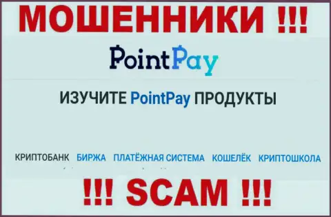 Crypto trading это то на чем, будто бы, профилируются обманщики Point Pay