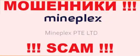 Руководителями МинеПлекс является контора - Mineplex PTE LTD