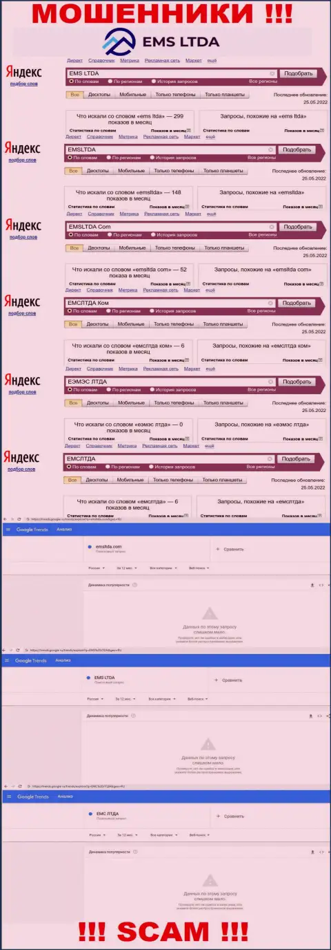 Статистика по бренду EMSLTDA, сколько людей заинтересовались этими интернет мошенниками