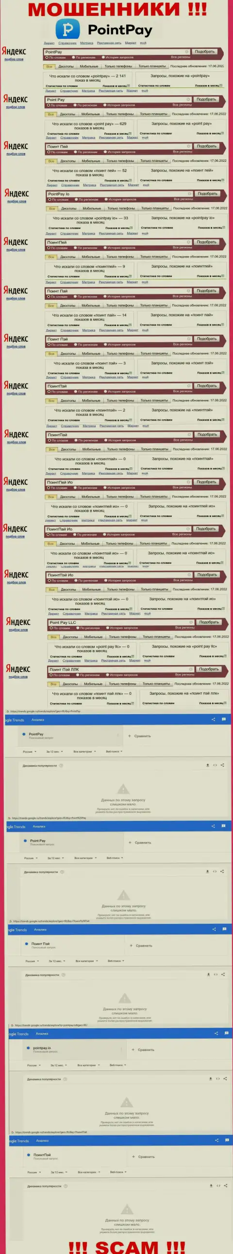 Статистические сведения запросов по мошенникам Point Pay во всемирной сети Интернет