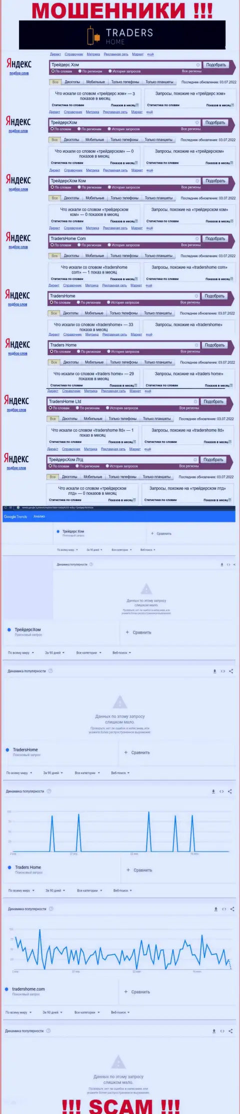 Сколько раз интересовались мошенниками TradersHome Com в поисковиках ?