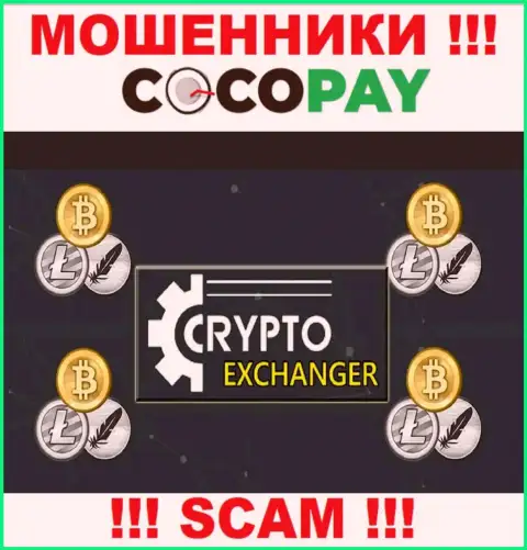 CocoPay - это бессовестные интернет-шулера, тип деятельности которых - Интернет-обменка