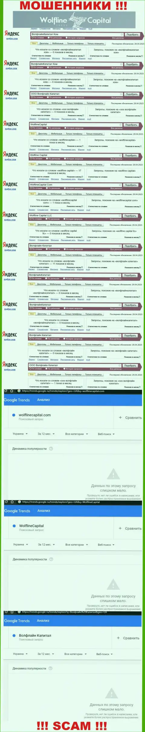 Информация о числе поисковых запросов инфы о махинаторах Wolfline Capital