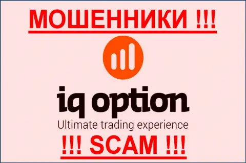 Ай Кью Опцион - КУХНЯ НА ФОРЕКС !!! SCAM !!!