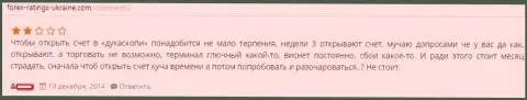 Терминал в Форекс ДЦ Дукас Копи функционирует отвратительно