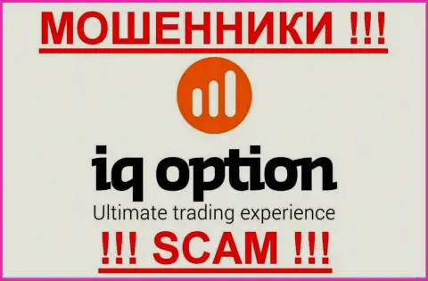 Ай Кью Опцион - это КУХНЯ НА ФОРЕКС !!! SCAM !!!